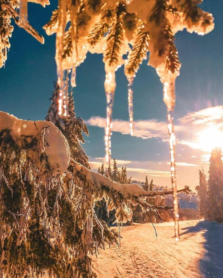 Sans Lux Apartman N42 Milmari Kopaonik Zewnętrze zdjęcie