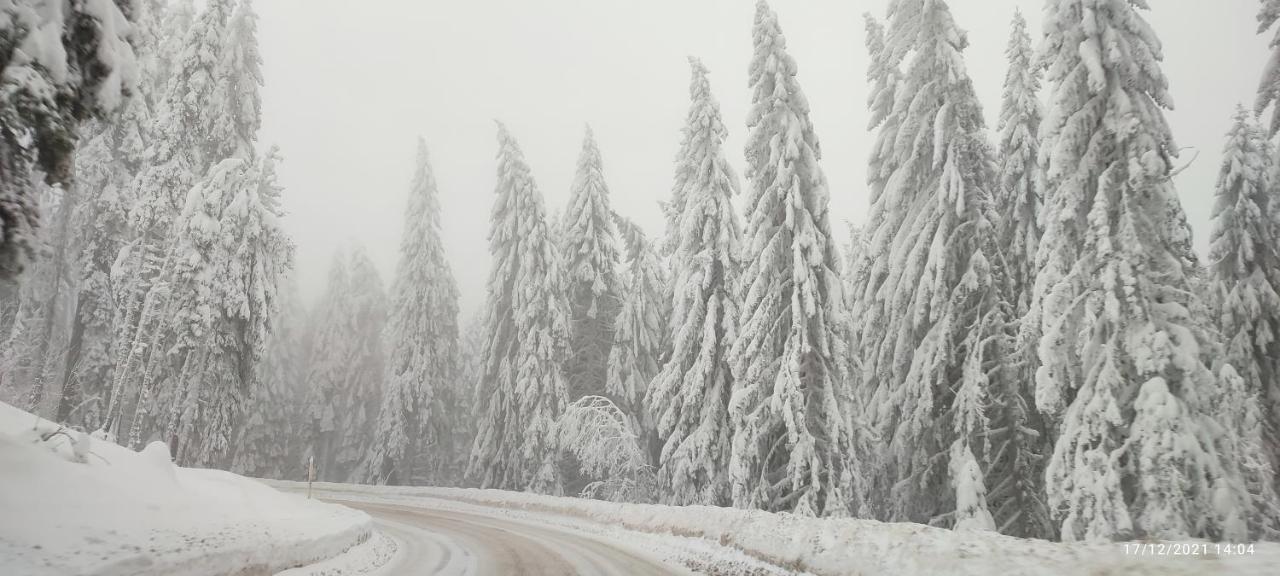 Sans Lux Apartman N42 Milmari Kopaonik Zewnętrze zdjęcie